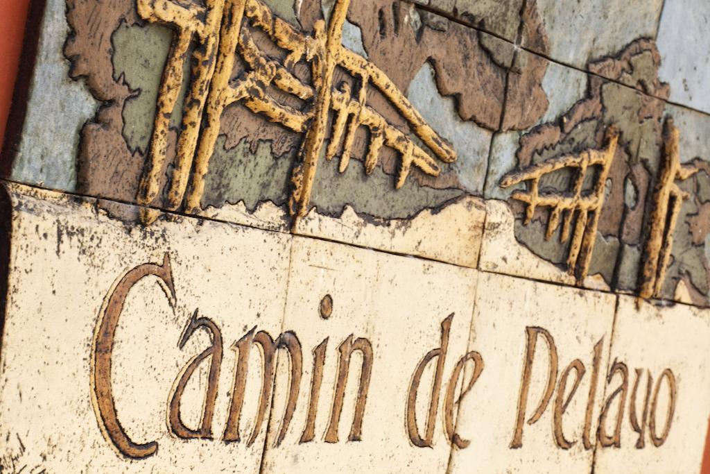 Camin De Pelayo