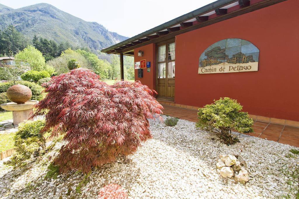 Camin De Pelayo